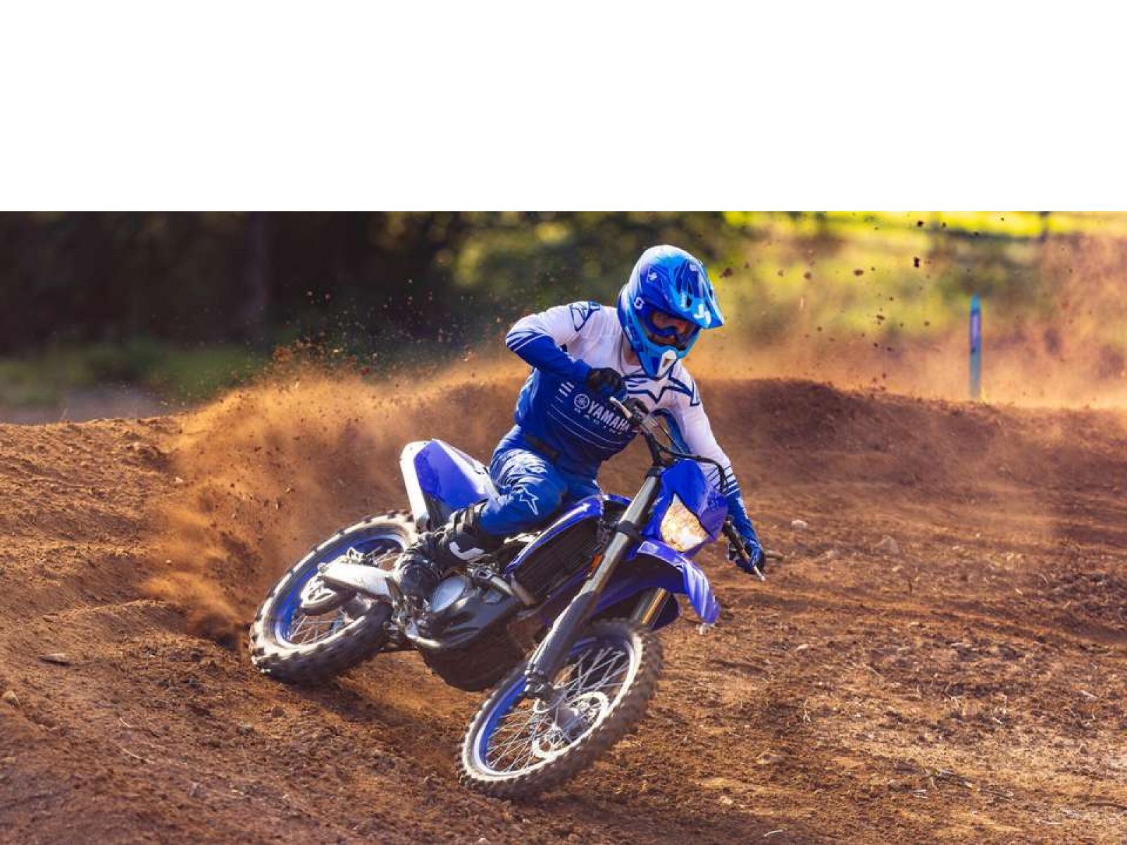 Мотоцикл YAMAHA WR250F (Icon Blue) 2024